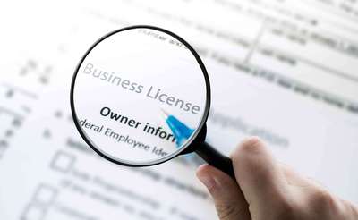 Why Search for a Nevada Business Entity